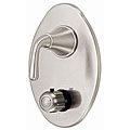 Danze Thermostatic Control Valve Showerhead with Trim