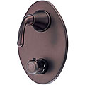 Danze Thermostatic Control Valve Showerhead with Trim