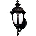 Black 1-light Outdoor Wall Sconce