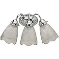 Chrome Finish 3-light Vanity with Clear Glass