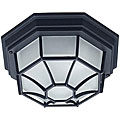 Black 1-light Outdoor Flush Light with Frosted Glass