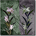 Miguel Paredes 'Flower' Gallery-wrapped Canvas Art