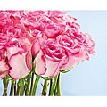 Christina Tsi Kramer 'Pink Roses' Gallery Art