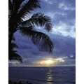 Christina Tsi Kramer 'Palms' Gallery-wrapped Art