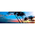 Nathan Lovas 'Sunrise St. Croix' Canvas Art