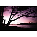 Jessica Nicosia-Nadler 'Golden Gate' Canvas Art