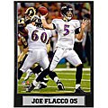 Joe Flacco Baltimore Ravens 9x12 Photo Plaque