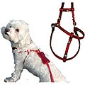 Crystal Fun Dots Small Step-in Red Metallic Harness Set