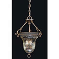 Cafe Tortoise Shell Pendant Light