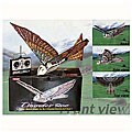 Radio-controlled Flying Spybird