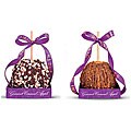 Large Gourmet Caramel Apples with Peanut Drizzle & Triple Chip (Pack of 2)