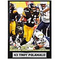Pittsburg Steelers' Troy Polamalu 9x12 Photo Plaque