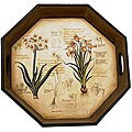 Botanical Tray