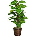 Large-leaf 51-inch Philodendron Silk Plant