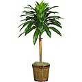 Dracaena 'Real Touch' 44-inch Silk Plant