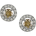 14k Gold 1/2ct TDW Brown/ White Diamond Earrings (H-I, I1-I2)