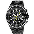 Citizen Eco-Drive Men's Perpetual Calendar Watch