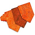 O.H.H.A. Orange Paisley Woven Silk Tie