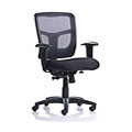 Ergo Value Mesh Medium Back Task Chair