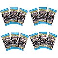 Pokemon Majestic Dawn Trading Cards (Set of 12)