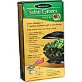 Aerogrow Salad Greens Seed Kit