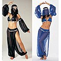 Leg Avenue Sexy Arabian Belly Dancer Halloween Costume