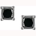 14k White Gold 1ct TDW Black Diamond Earrings (Case of 3)