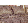 Paisley Garden Bedspread Set