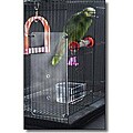 Feathered Phonics Small Seed Guard