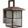 Brushed Nickel 1-light Outdoor Wall Light