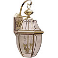 Outdoor Polished Brass 2-light Wall Fixture