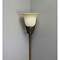 Golden Bronze Plug-in Corner Lamp