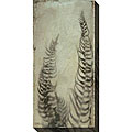 Sara Abbott 'Immaculate Bounty IV' Oversized Canvas Art