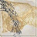 Caroline Ashton 'Nature's Way IV' Oversized Canvas