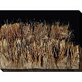 Caroline Ashton 'Dreamer III' Oversized Canvas Art