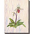 Caroline Ashton 'Flowers II' Canvas Art
