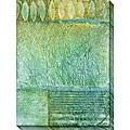 Caroline Ashton 'Aqueous I' Canvas Art