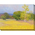 Kim Coulter 'Valley View' Giclee Canvas Art
