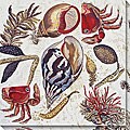 Leslie Saris 'Marine Array IV' Oversized Canvas Art