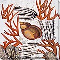 Leslie Saris 'Marine Array II' Oversized Canvas Art