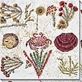 Leslie Saris 'Marine Array I' Oversized Canvas Art