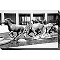Michael Joseph 'Mustangs Dallas' Oversized Canvas Art