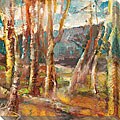 Sylvia Angeli 'A Walk in the Woods I' Oversized Canvas Art