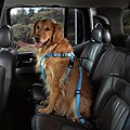 Blue Car Seat Safety Pet Harness
