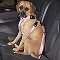 Pink Car Seat Safety Pet Harness