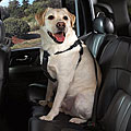 Black Car Seat Safety Pet Harness