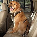 Brown Houndstooth Car Safety Dog Harness