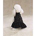 Zack & Zoey Lace Flamenco Black Dog Dress