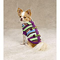 Zack and Zoey Striped Toggle Hoodie Dog Sweater
