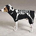 Glowing Boney Dog Halloween Costume